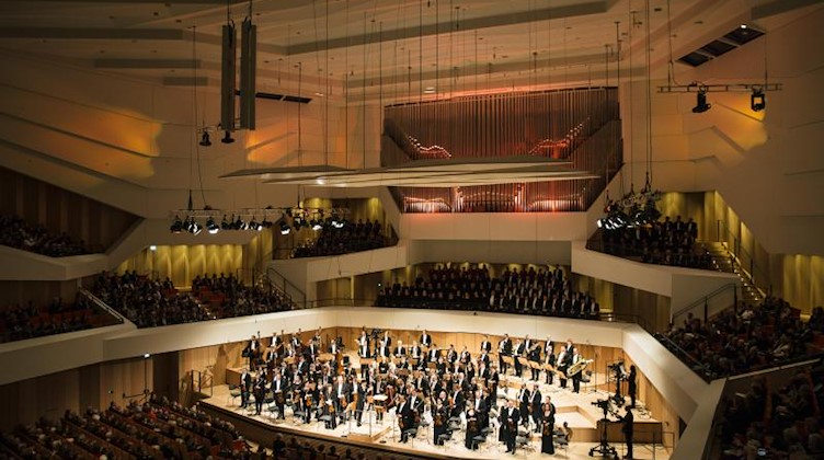 Musiker der Dresdner Philharmonie stehen zum Eröffnungskonzert auf der Bühne des Kulturpalastes. Foto: Oliver Killig/dpa-Zentralbild/dpa/Archiv