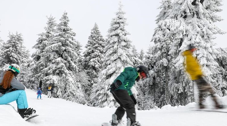 Junge Wintersportler fahren durch den Winterwald auf dem Fichtelberg. Foto: Jan Woitas/dpa-Zentralbild/dpa