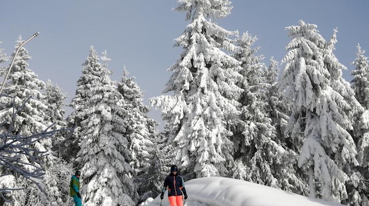 Wintersportler fahren durch den Winterwald auf dem Fichtelberg. Foto: Jan Woitas/dpa-Zentralbild/ZB/Archiv