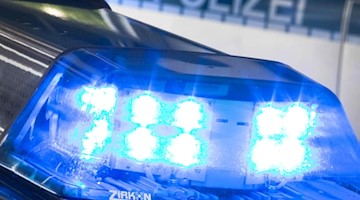 Ein Blaulicht leuchtet auf dem Dach einer Polizeistreife. Foto: Friso Gentsch/dpa/Archivbild