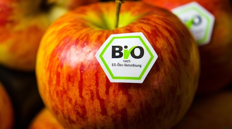 Äpfel mit Bio-Siegel liegen an einem Stand. Foto: David-Wolfgang Ebener/dpa/Archivbild