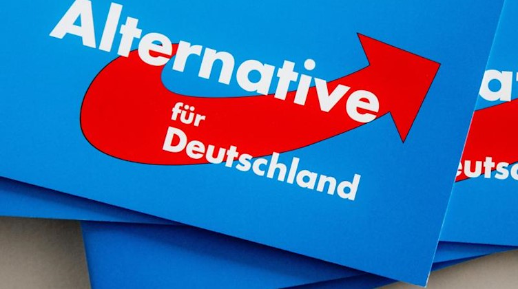 Das Logo der Alternative für Deutschland (AfD) ist auf Parteibroschüren zu sehen. Foto: Markus Scholz/dpa/Archivbild