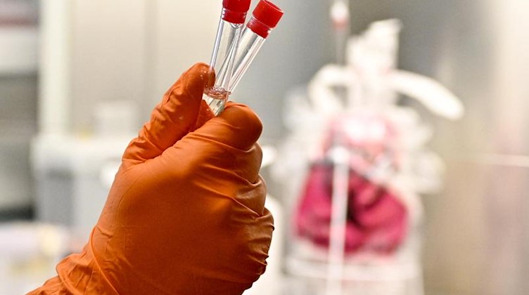 Laboruntersuchungen werden zur Abklärung des Coronavirus vorgenommen. Foto: Hans Punz/APA/dpa/Archiv