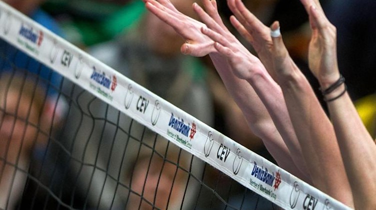 Volleyballspielerinnen in Aktion. Foto: Jens Büttner/dpa-Zentralbild/dpa