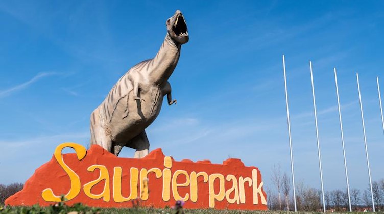 Die Nachbildung eines Dinosauriers steht an der Straße zum Eingang vom Saurierpark. Foto: Robert Michael/dpa-Zentralbild/dpa/Archivbild