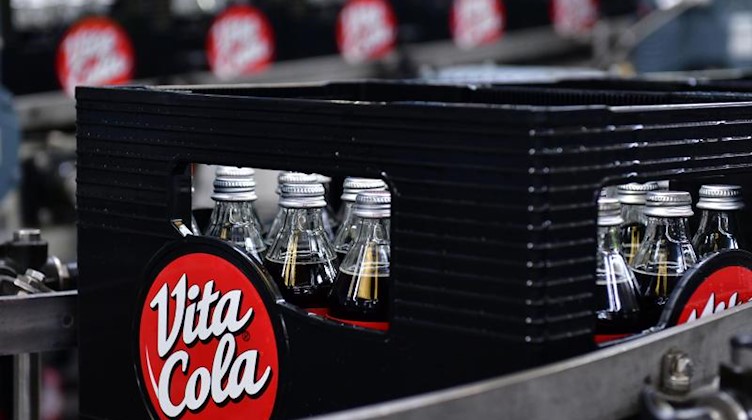 Nach der Abfüllung von Vita Cola werden Flaschen in Kästen auf der Bandanlage transportiert. Foto: Martin Schutt/dpa-Zentralbild/dpa