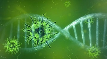 Symbolbild Coronavirus . pixabay / TheDigitalArtist