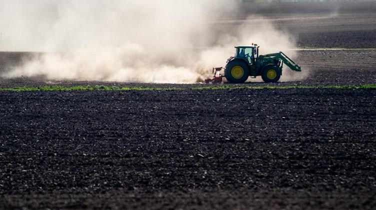 Ein Landwirt pflügt mit seinem Traktor ein Feld. Foto: Klaus-Dietmar Gabbert/dpa-Zentralbild/ZB/Archivbild
