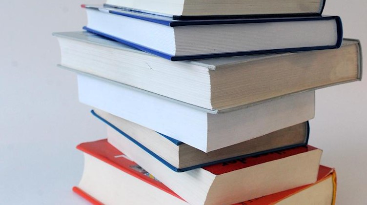 Verschiedene Bücher liegen auf einem Stapel. Foto: Jens Kalaene/dpa-Zentralbild/dpa/Symbolbild