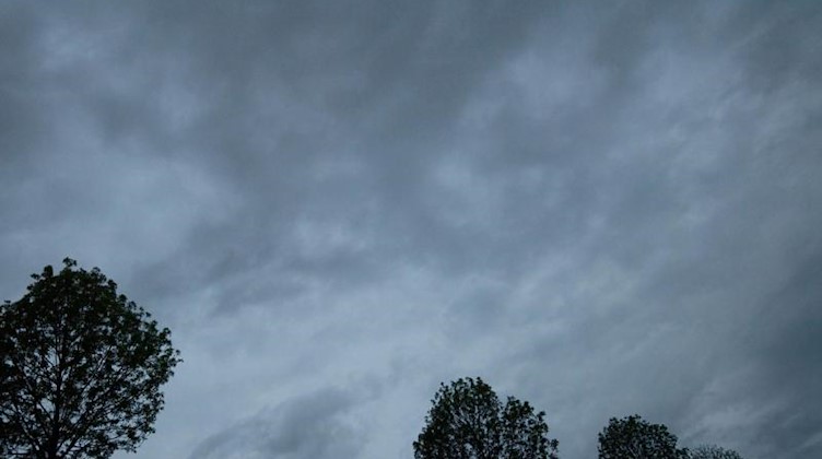 Dunkle Wolken sind am frühen Morgen über Baumkronen zu sehen. Foto: Marijan Murat/dpa