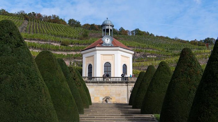 Blick auf die Gartenanlage vor Belvedere auf dem Weingut Schloss Wackerbarth. Foto: Monika Skolimowska/dpa-Zentralbild/dpa/Archivbild