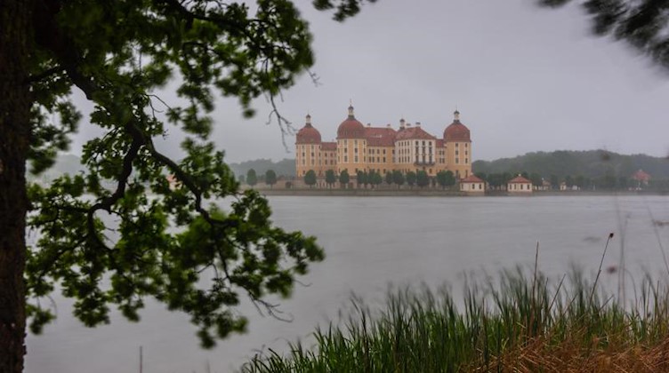 Im Dunst von Sprühregen liegt das Schloss Moritzburg am Morgen. Foto: Robert Michael/dpa-Zentralbild/dpa/Archivbild