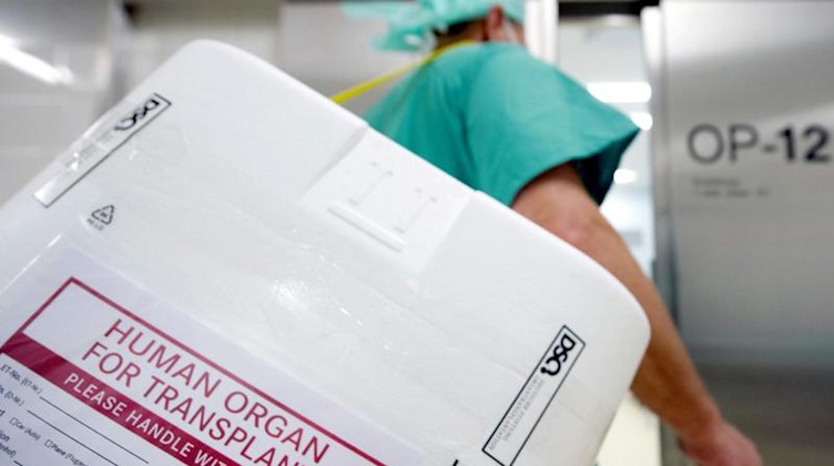 Ein Styropor-Behälter zum Transport von zur Transplantation vorgesehenen Organen wird am Eingang eines OP-Saales vorbeigetragen. Foto: Soeren Stache/dpa/Symbolbild