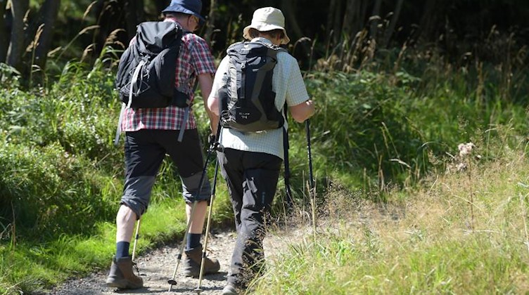Zwei Wanderer gehen in der Nähe von Altenau im Oberharz über einen schmalen Wanderweg. Foto: picture alliance / Swen Pförtner/dpa