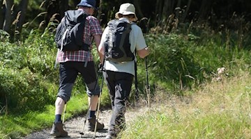 Zwei Wanderer gehen in der Nähe von Altenau im Oberharz über einen schmalen Wanderweg. Foto: picture alliance / Swen Pförtner/dpa
