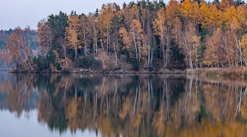 Herbstlich gefärbte Bäume spiegeln sich im Abendlicht im Knappensee. Foto: Armin Weigel/dpa/Archivbild