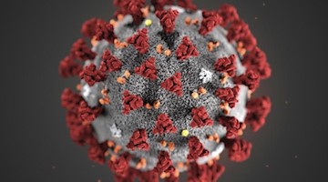 Eine Mikroskopaufnahme zeigt das Coronavirus. Foto: Uncredited/Centers for Disease Control and Prevention/AP/dpa/Archivbild