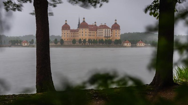 Im Dunst von Sprühregen liegt das Schloss Moritzburg. Foto: Robert Michael/dpa-Zentralbild/dpa/Archivbild