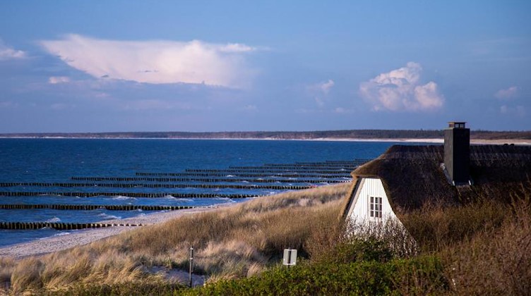 Ein reetgedecktes Ferienhaus steht in Meeresnähe. Foto: Jens BüŸttner/dpa-Zentralbild/ZB/Symbolbild