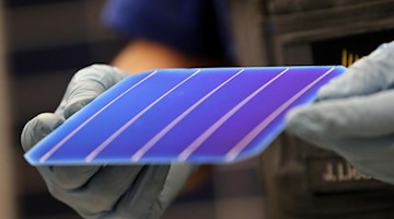 Ein Mitarbeiter präsentiert eine Solarzelle. Foto: Jan Woitas/dpa-Zentralbild/dpa/Symbolbild