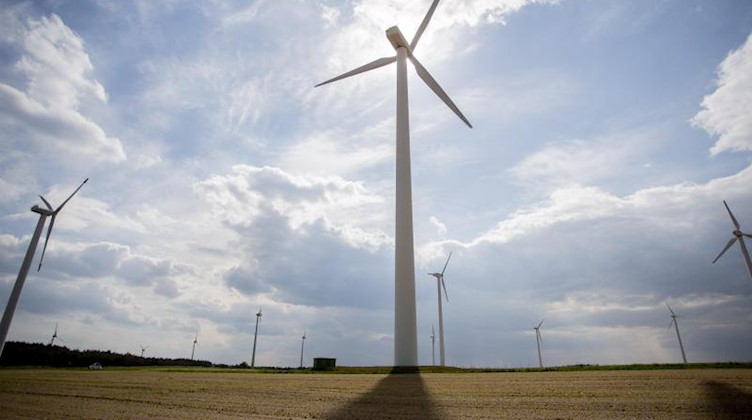Windenergieanlagen auf einem Feld. Foto: Christoph Soeder/dpa-Zentralbild/ZB/Archivbild