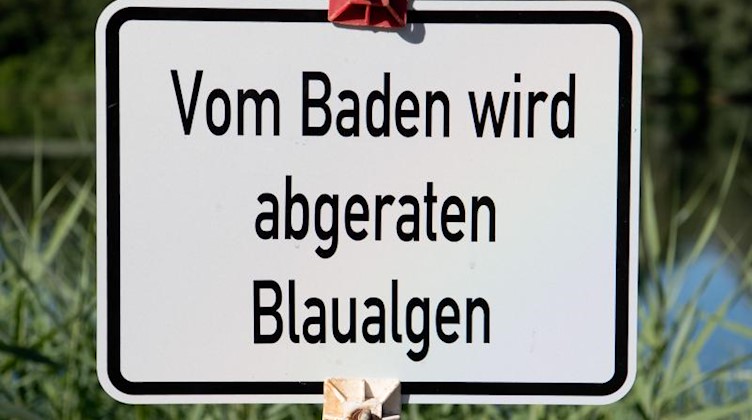 Ein Schild «Vom Baden wird abgeraten - Blaualgen» steht am Ufer eines Sees. Foto: Julian Stratenschulte/dpa/Archivbild