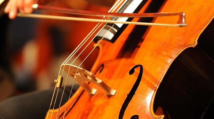Ein Musiker spielt auf einem Cello. Foto: Jens Kalaene/dpa-Zentralbild/dpa/Symbolbild