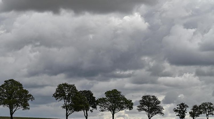 Dunkle Wolken ziehen über eine Landschaft hinweg. Foto: Patrick Pleul/dpa-Zentralbild/ZB
