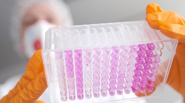 Eine Virologin untersucht Proben auf das Coronavirus. Foto: Peter Steffen/dpa/Symbolbild