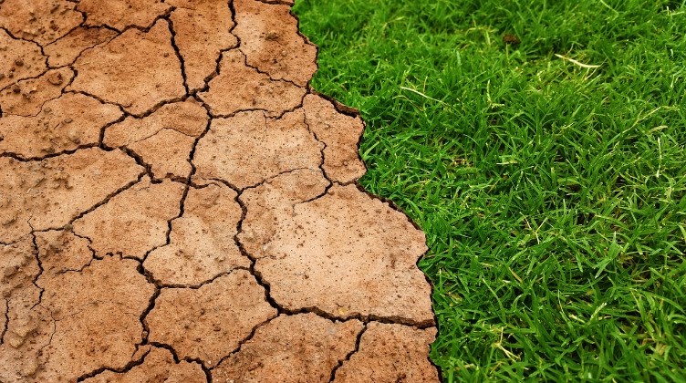 Vertrocknete Erde und grüner Rasen #Klimaschutz / pixabay Tumisu