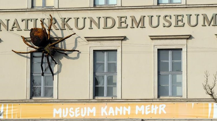Das Naturkundemuseum im Zentrum der Stadt Leipzig. Foto: Sebastian Willnow/dpa-Zentralbild/dpa/Archivbild