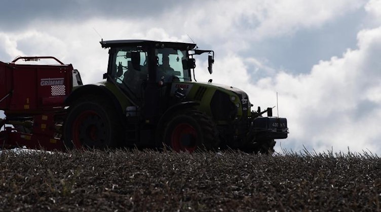 Ein Traktor zieht einen Kartoffelroder über ein Feld. Foto: Sebastian Kahnert/dpa-Zentralbild/ZB