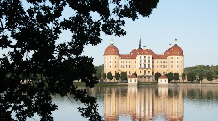 Die Blätter einer Eiche zeichnen sich vor dem Schloss Moritzburg, dem einstigen Jagdschloss der Wettiner, als Silhouette ab. Foto: Sebastian Kahnert/dpa-Zentralbild/dpa/Symbolbild