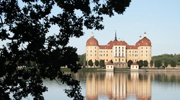 Die Blätter einer Eiche zeichnen sich vor dem Schloss Moritzburg, dem einstigen Jagdschloss der Wettiner, als Silhouette ab. Foto: Sebastian Kahnert/dpa-Zentralbild/dpa/Symbolbild