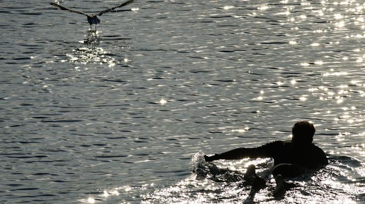 Ein Schwimmer genießt den Spätsommerabend. Foto: Henning Kaiser/dpa
