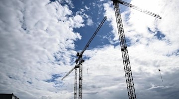 Baukräne ragen in den Himmel. Foto: Britta Pedersen/dpa-Zentralbild/dpa/Symbolbild