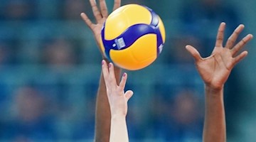 Händen greifen in einem Spiel nach einem Volleyball. Foto: Uwe Anspach/dpa/Symbolbild
