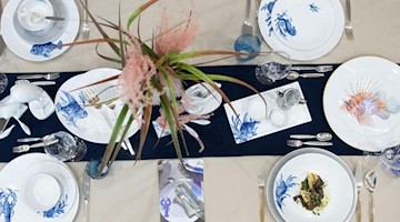 Teller und Schüsseln des Service «Meissen Blue Treasures» der Porzellan-Manufaktur Meissen. Foto: Sebastian Kahnert/dpa-Zentralbild/dpa/Archivbild