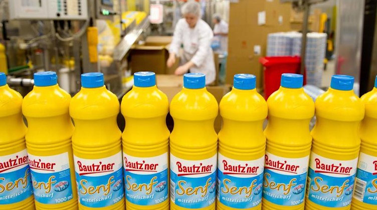 Portionsflaschen stehen in der Abfüllanlage der Bautzner Senf & Feinkost GmbH in Bautzen. Foto: Sebastian Kahnert/dpa-Zentralbild/dpa/Archivbild