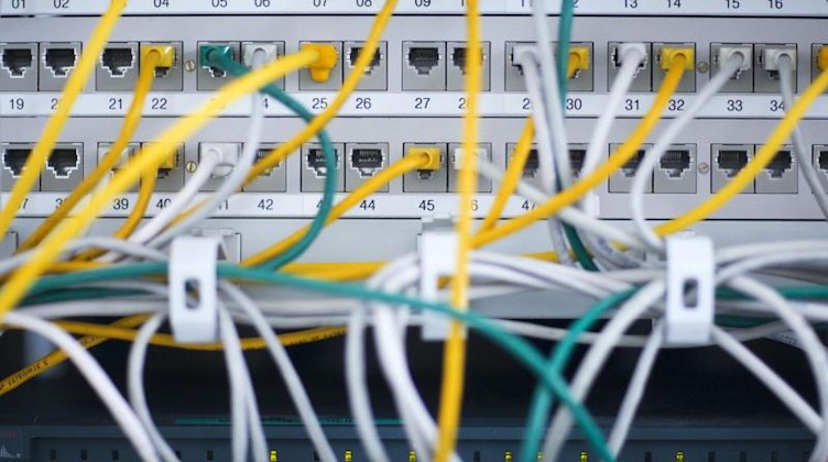 Zahlreiche Netzwerkkabel stecken in einem Büro-Serverschrank. Foto: Jens Büttner/dpa-Zentralbild/dpa/Symbolbild