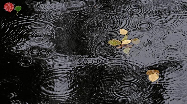 Regentropfen erzeugen Ringe auf der Wasseroberfläche eines Sees. Foto: Paul Zinken/dpa/Symbolbild/Symbolbild