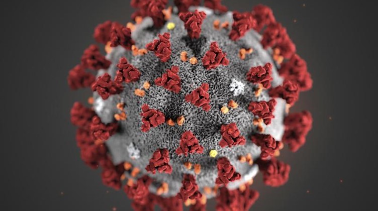 Eine Mikroskopaufnahme zeigt das Coronavirus. Foto: Uncredited/Centers for Disease Control and Prevention/AP/dpa/Archivbild