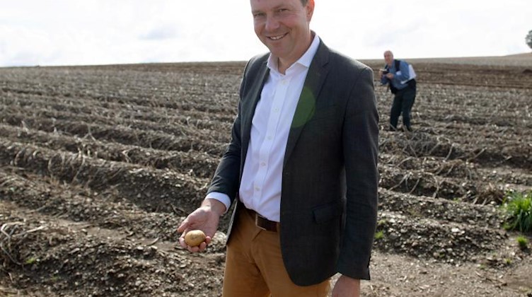 Wolfram Günther, Umweltminister von Sachsen, steht auf einem Kartoffelfeld. Foto: Sebastian Kahnert/dpa-Zentralbild/ZB/Archivbild