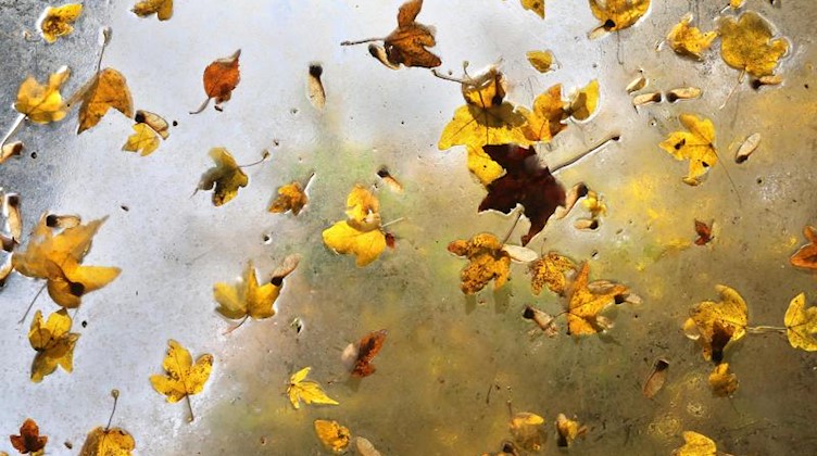 Herbstblätter liegen auf dem durchsichtigem Dach. Foto: Karl-Josef Hildenbrand/dpa/Archivbild