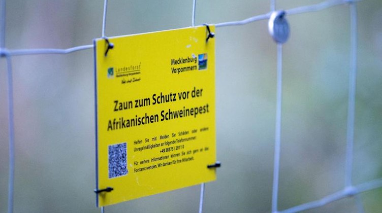 An der Grenze zwischen Polen und Deutschland steht ein Wildzaun zum Schutz vor Schweinepest. Foto: Jens Büttner/dpa-Zentralbild/dpa/Archivbild