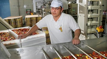 In der Haribo-Wesa GmbH in Wilkau-Haßlau kontrolliert ein Vorarbeiter die Abfüll- und Verpackungslinie. Foto: Wolfgang Thieme/dpa-Zentralbild/dpa
