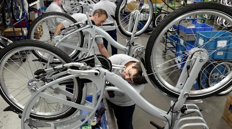 Mitarbeiter des Fahrradherstellers Sachsenring Bike Manufaktur GmbH montieren Fahrräder. Foto: Peter Endig/dpa/Archivbild