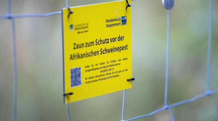 Ein Sperrzaun zum Schutz vor der Schweinepest. Foto: Jens Büttner/dpa-Zentralbild/dpa/Archivbild
