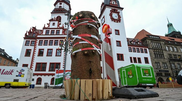 Der abgesägte Stumpf des Weihnachtsbaumes steht auf dem Marktplatz in Chemnitz. Foto: Hendrik Schmidt/dpa-Zentralbild/ZB/Aktuell