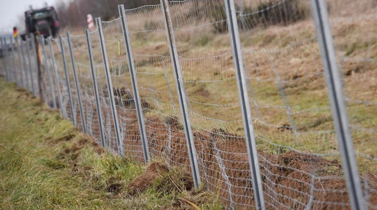 Ein Grenzschutzzaun zum Schutz vor der Schweinepest ist zu sehen. Foto: Stefan Sauer/dpa/Archivbild
